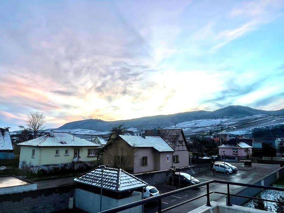 Appartamento A2 Pas De Colmar Terrasse,Parking Wintzenheim Esterno foto