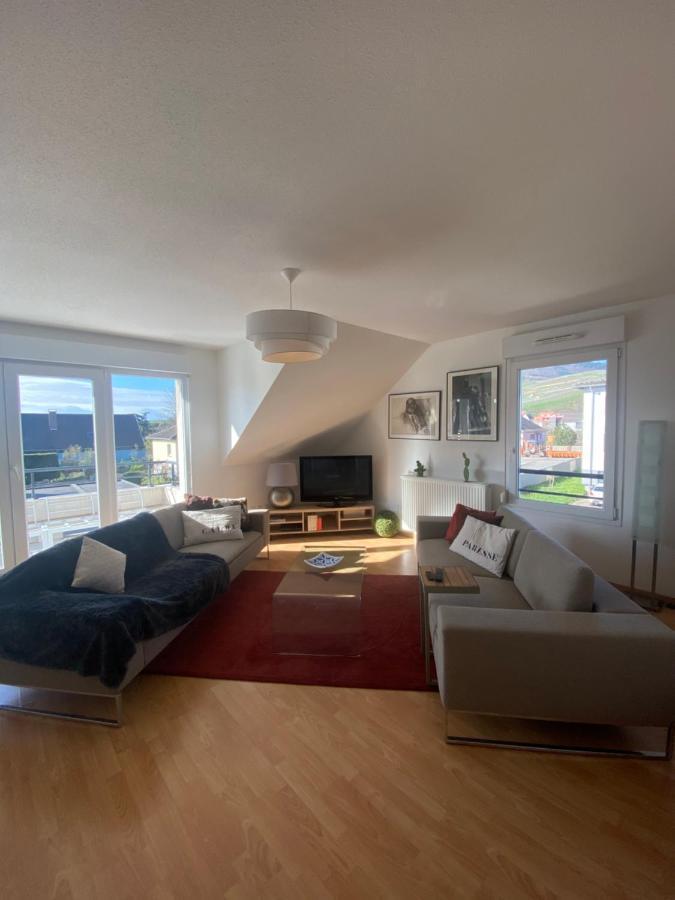 Appartamento A2 Pas De Colmar Terrasse,Parking Wintzenheim Esterno foto