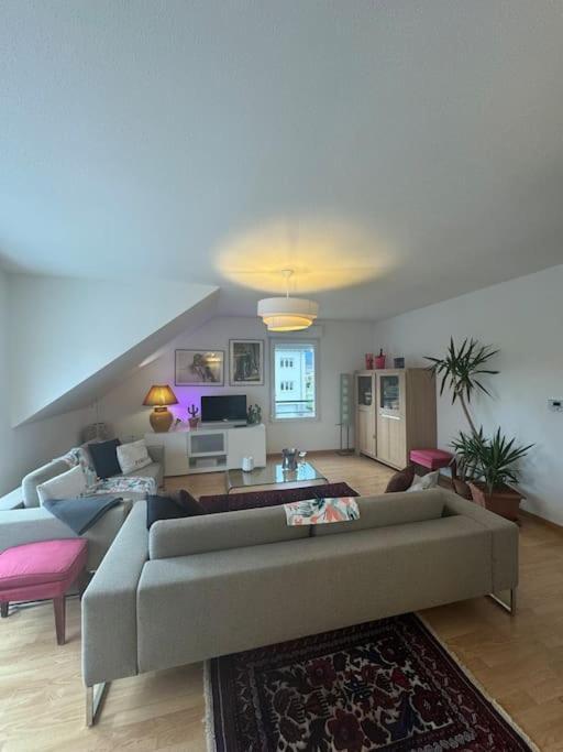 Appartamento A2 Pas De Colmar Terrasse,Parking Wintzenheim Esterno foto