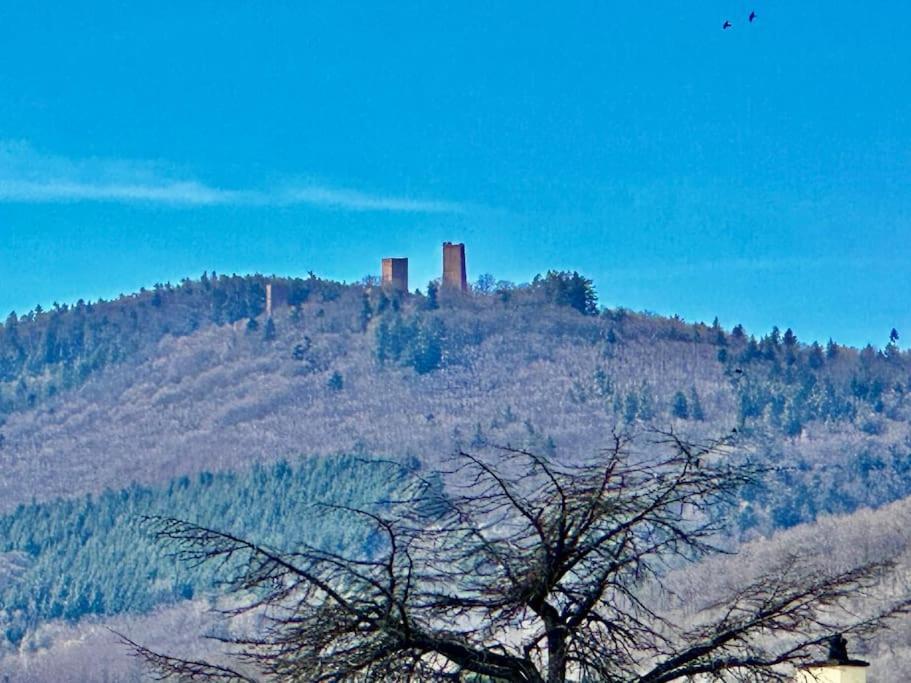 Appartamento A2 Pas De Colmar Terrasse,Parking Wintzenheim Esterno foto
